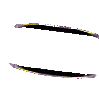 ic-rtp